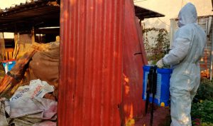 Bonifica amianto matrice compatta